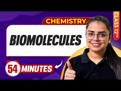 Biomolecules In 54 Minutes | Chemistry Class 12th | Mindmap Series