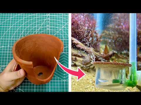 The Ultimate DIY CO2 Diffuser for Your Planted Aquarium ☘️🌱