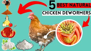 MY TOP 5 BEST NATURAL DEWORMERS FOR CHICKENS