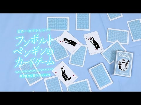 世界一難しい！？フンボルトペンギンのカードゲーム