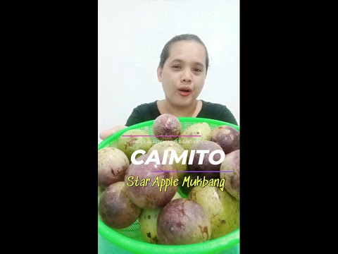 Star Apple Mukbang - Grabe, namiss ko ito! Ang sarap! #caimito #starapple #asmrvideo #asmreating