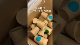 ＼緑茶飲みくらべアンケートしてみた！／