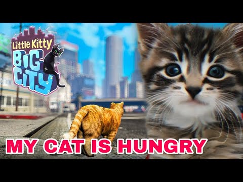 MY KITTY IS HUNGRY BIGG HOME