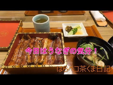 はらペコ茶くま日記　初動画　今日はどうしてもうなぎが食べたい‼