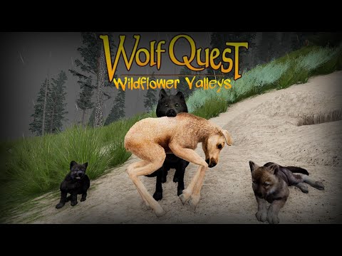 The Ungulates Have ARRIVED! | • WILDFLOWER VALLEYS • #20 • |