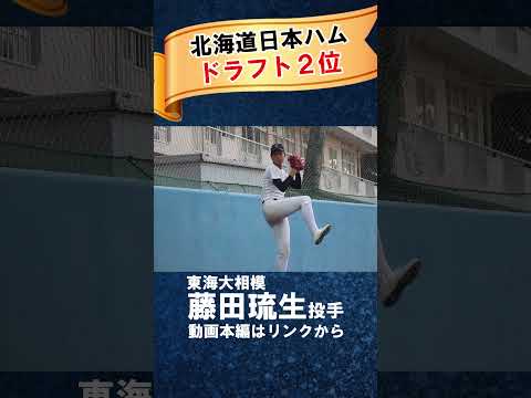 【日本ハム2位指名】東海大相模・藤田琉生の衝撃直球と素顔 #ドラフト  #ドラフト2024  #夏の甲子園  #東海大相模 #日本ハム #プロ野球 #高校野球 #甲子園