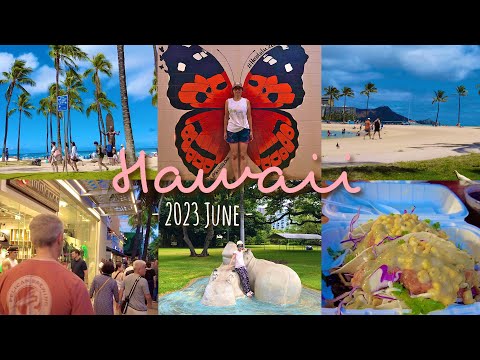 HAWAII Vlog Part 3 - 2023 June - Honolulu Zoo Play Date and the Best Mexican in Waikiki  (#208)