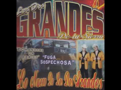 Dos Cuernos De Chivo - Los Dos Grandes De La Sierra (Echandome Un Perico)