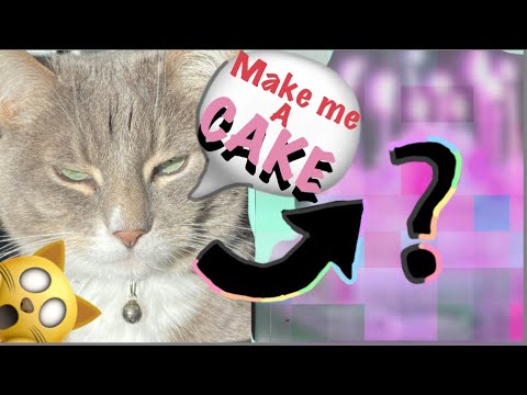 My cat and dogs pick my Art! *cute *funny