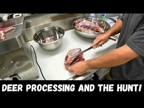 Deer/Venison Processing And My Hunt!