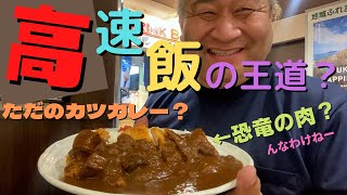 【福井県　デカかつカレー】揚げ物天国なSAで大きなカツカレーを食す