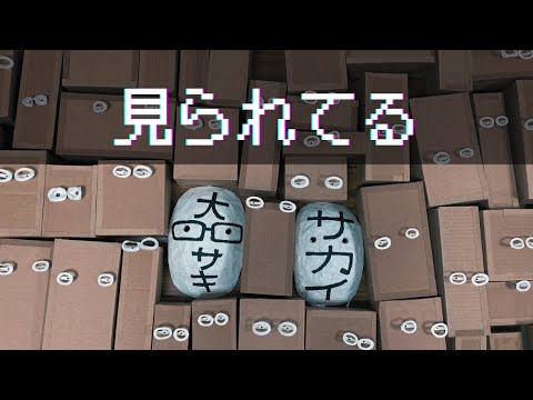 【ダンボール】見られてる PART２👁