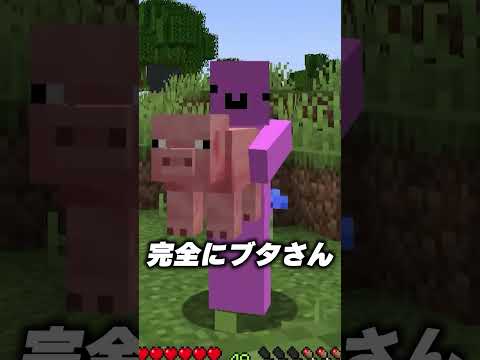 自分の色の羊を見つけろ！ #新人歌い手グループ #めておら #マイクラ #マインクラフト