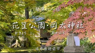 【越前vlog】紙漉きの前に紅葉狩り｜花筐公園・岡太神社｜Echizen, Fukui