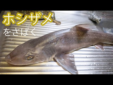 人生ではじめてホシザメをさばいて食べた🦈