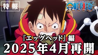 ＜特報＞アニメ「ONE PIECE」エッグヘッド編