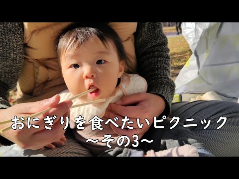 どうしても、おにぎりを食べたい0歳児～その3～　【262Days】