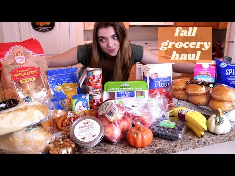 Fall Grocery Haul | Aldi and Walmart Fall Food on a Budget