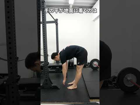 前屈で手の平が着く人はストレッチ禁止！腰痛と膝痛の原因です  #関節弛緩性 #筋トレ