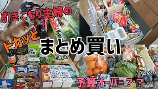 【まとめ買い】病み上がり主婦のまとめ買いの1日。/業務スーパー×TRIAL/購入品