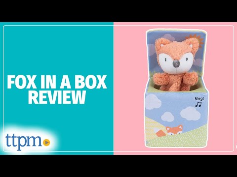 Fox in a Box Plush from Baby Gund Review!