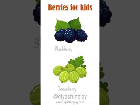 fruits for kids - berries for kids - fruit berries - #shorts - #diyasfunplay - types of berries