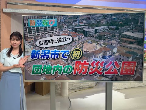 災害時は周辺住民にも開放　非常用トイレに“かまどになるベンチ”も　新潟市初の“防災公園”備えた団地とは