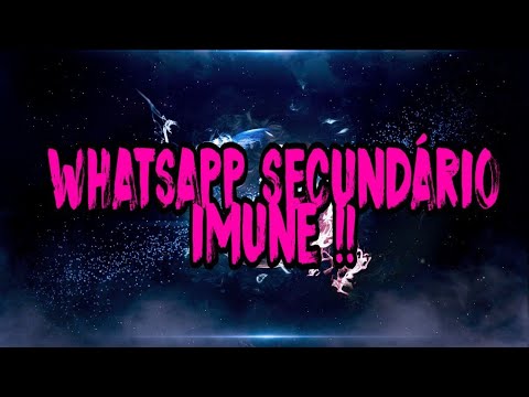 WhatsApp (SECUNDÁRIO!) RAJANDO igual IOS! IMUNE a TRAVAS: CATÁLOGO, CONTATO, TXT E ETC...