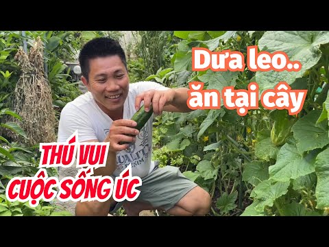 THÚ VUI LÀM VƯỜN Ở ÚC