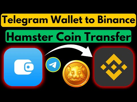 Hamster Withdrawal Telegram Wallet to Binance | Send Hamster Kombat from Telegram Wallet to Binance