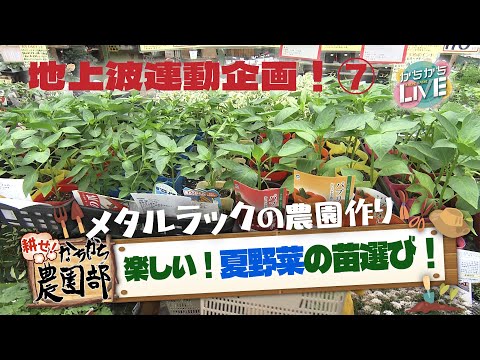 【農園部⑦】はじめての夏野菜の苗選び！