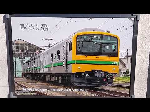 大宮駅から鉄道博物館に向かう舗道