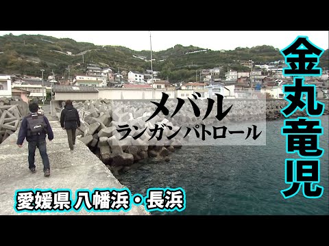 シーズン開幕！ビッグサイズを狙ったメバリング！ 1/2 『根魚！コーストパトロール 11 金丸竜児×愛媛の冬メバル』イントロver.【釣りビジョン】その①