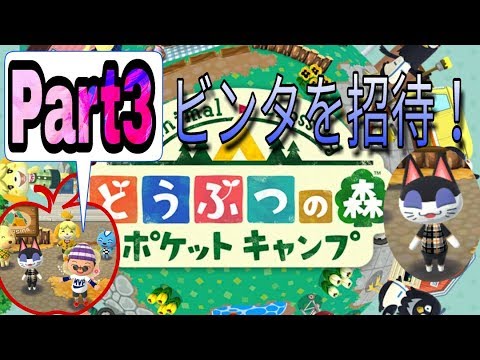 【ポケ森】＃3 ゆるゆるのんびりSORATOの森【どうぶつの森 ポケットキャンプ】