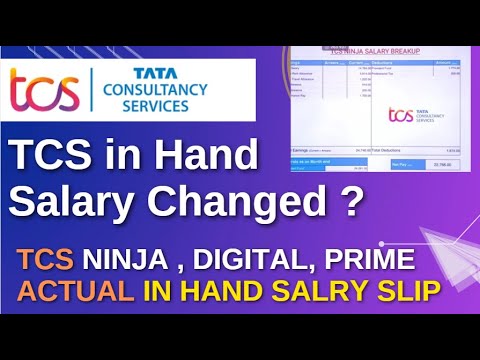 TCS Salary Slip Explained | In-Hand Salary Breakdown for Freshers & Experienced Employees