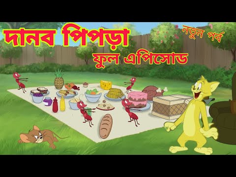 tom and jerry |tom and jerry bangla |bangla tom and jerry |Carton |tom and jerry funny video