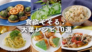 【大葉レシピ10選】さっぱりとした味わい！大量消費にもおすすめ♪｜macaroni（マカロニ）