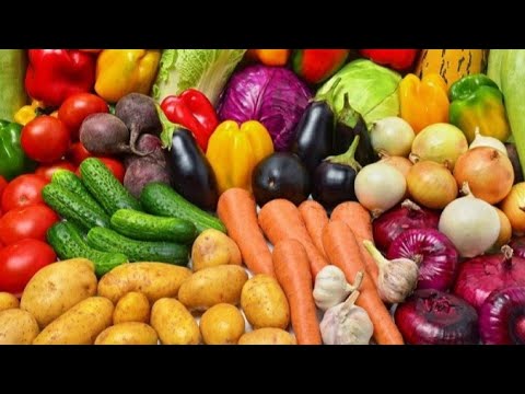 All Winter Vegetables Seeds Available at MTS Gardening Shop Karachi