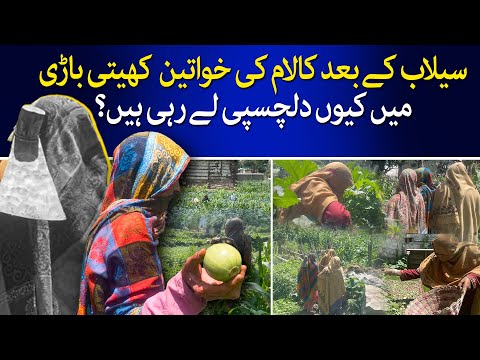 Why Kalam Women Are Taking Interest in Farming After Flood ? | TaarMedia | @TaarMedia