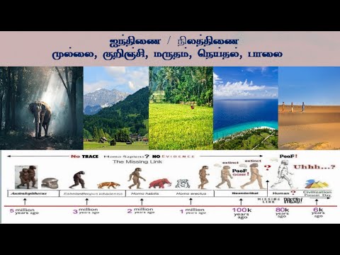 தமிழரின் நிலைத்திணைகள், குறிஞ்சி, முல்லை, மருதம், நெய்தல், பாலை என்பது என்ன? அவை எதை உணர்த்துகின்றன