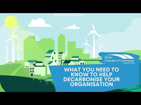 What You Need to Know to Help Decarbonise Your Organisation.