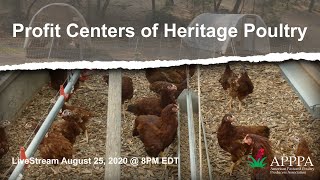 10 Profit Centers of Heritage Poultry Breeding