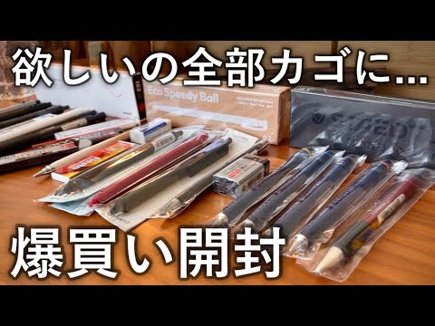 【前編】韓国で文房具を爆買いしてしまった...【シャーペン/ボールペン/文房具】