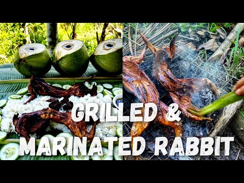 GRILLED RABBIT (Marinated Meat, Tasty & Healthy )