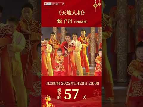 武术《天地人和》，#甄子丹 现场表演咏春拳，不愧是一代宗师！| CCTV春晚