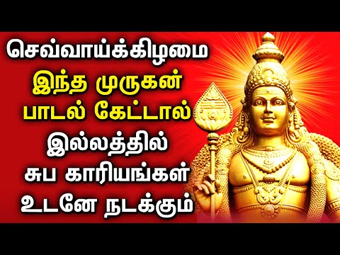 TUESDAY POPULAR MURUGAN DEVOTIONAL SONGS | Lord Murugan Tamil Padalgal | Lord Murugan Tamil Songs