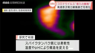 世界初！コロナウイルスが細胞に侵入する瞬間を可視化 2021.12.10放送