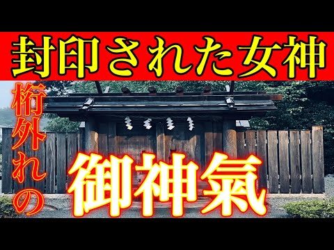 ⚠️一度は行くべき神社⚠️龍神最高神誕生の地※何か不思議な力、オーラがあるパワースポット瀧川神社