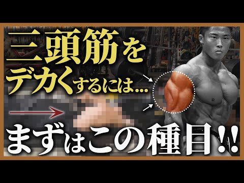 【確実にデカくする!!】上腕三頭筋の筋肥大に必須のトレーニングを実演解説します。