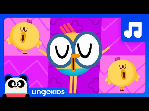 OLD MACDONALD HAD A FARM 👨‍🌾 Disco Version 🪩 Songs for kids | Lingokids